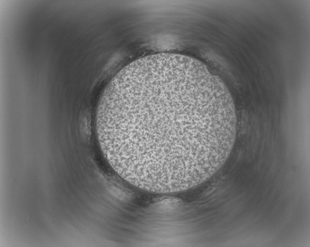 X0000064740210200603031716