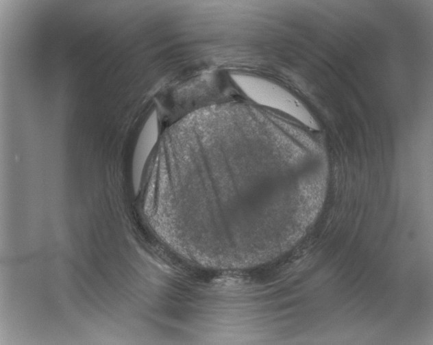 X0000064740211200603031716