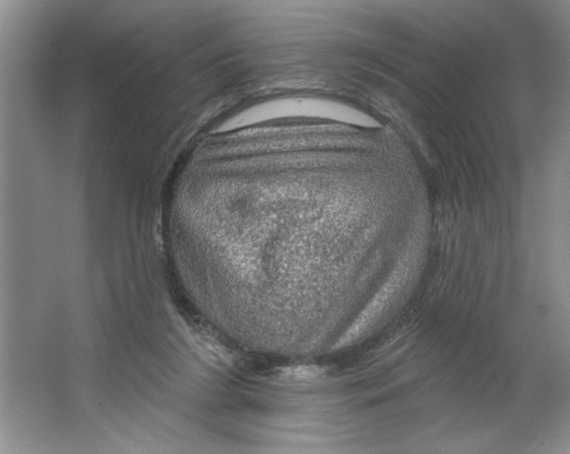 X0000064740212200603031716