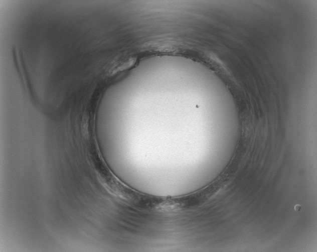 X0000064740213200603031716