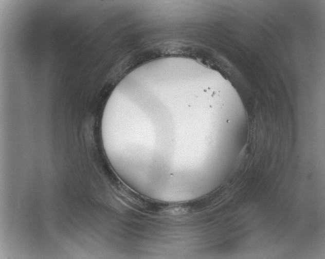 X0000064740217200603031716