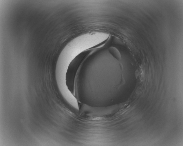 X0000064740219200603031716