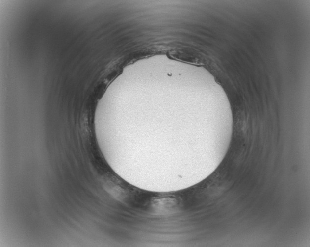 X0000064740220200603031716