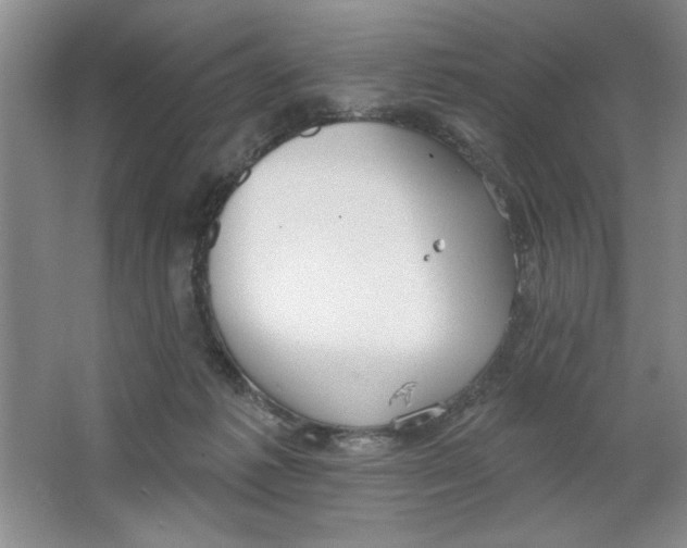 X0000064740221200603031716