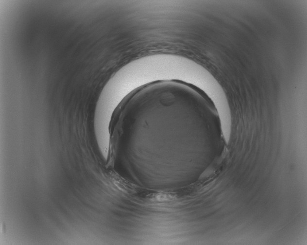 X0000064740223200603031716