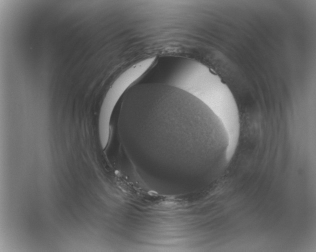 X0000064740224200603031716