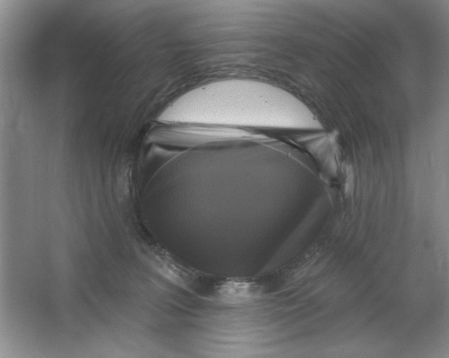 X0000064740227200603031716