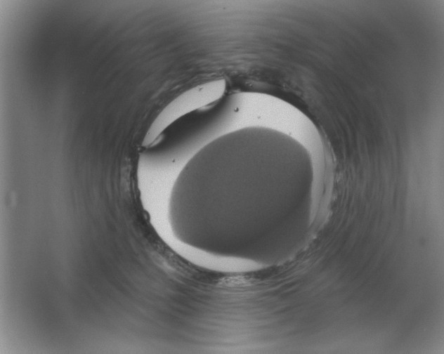 X0000064740231200603031716