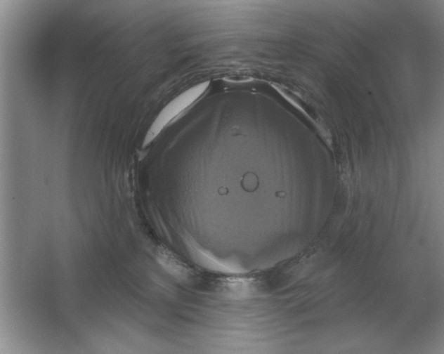 X0000064740233200603031716