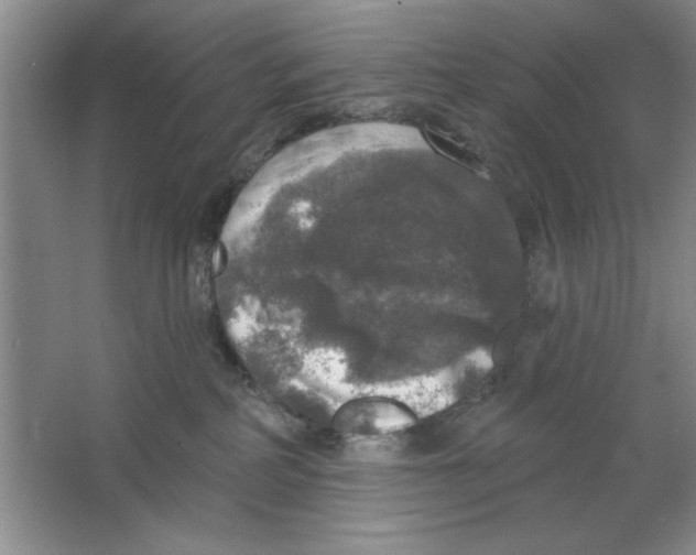 X0000064740234200603031715