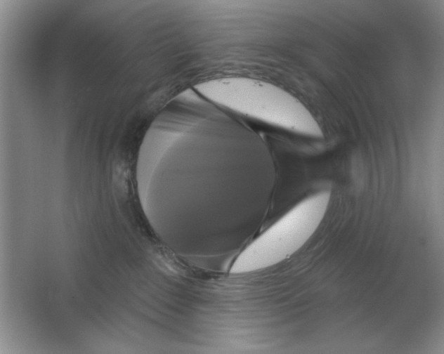 X0000064740235200603031715