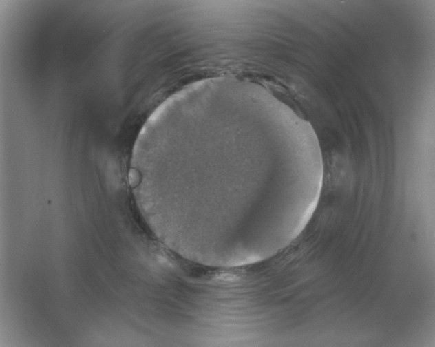 X0000064740236200603031715