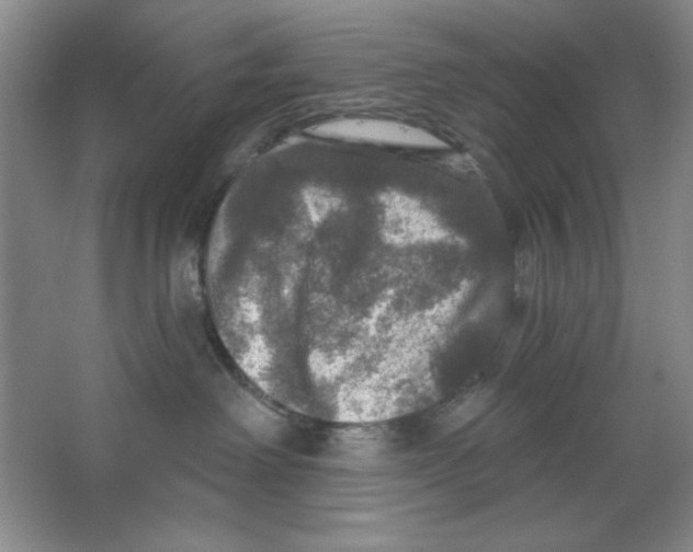 X0000064740238200603031715