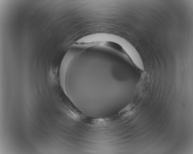 X0000064740239200603031715