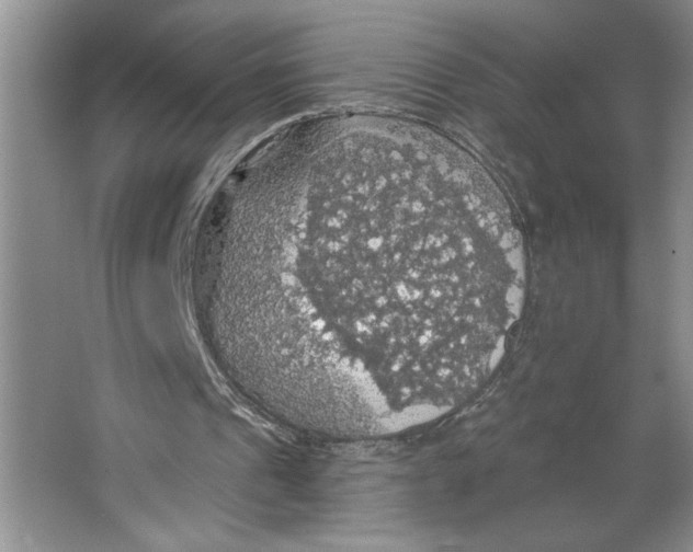 X0000064740241200603031715