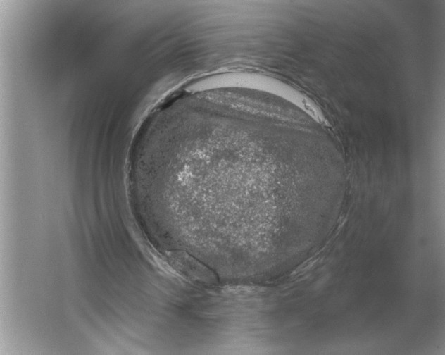 X0000064740242200603031715