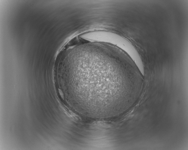 X0000064740244200603031715