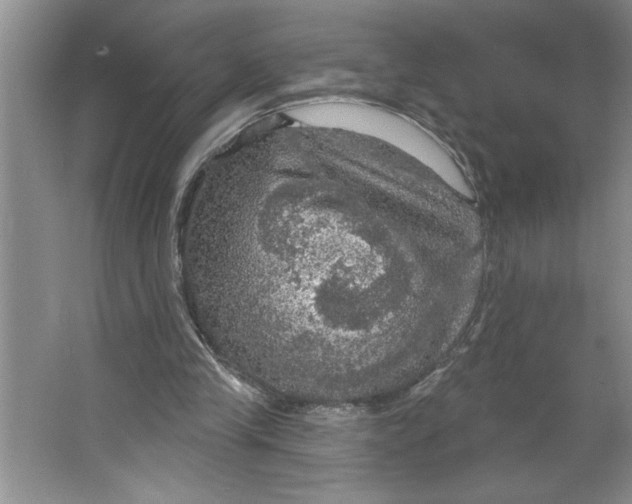 X0000064740245200603031715