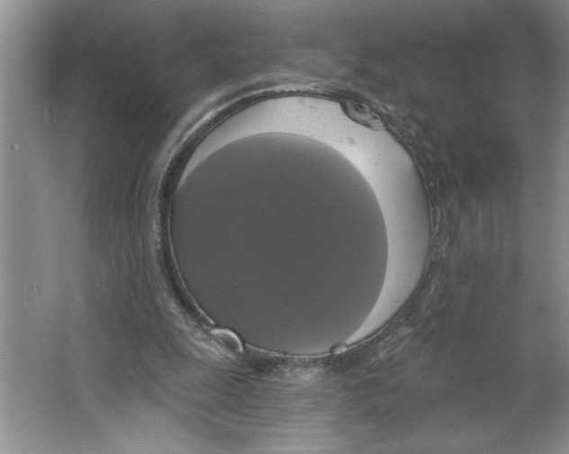 X0000064740247200603031715