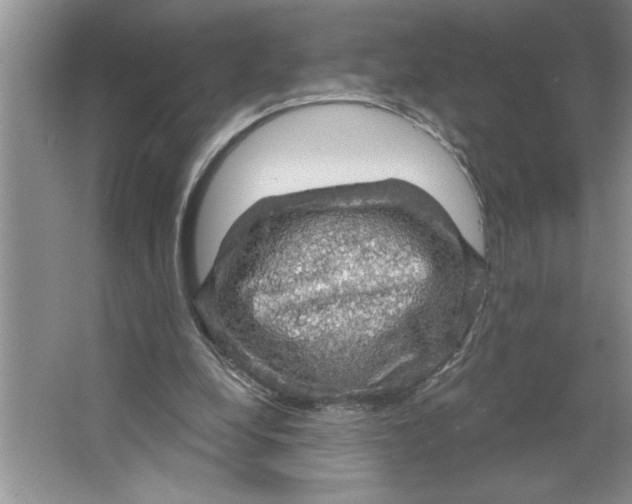 X0000064740248200603031715