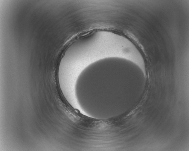 X0000064740249200603031715