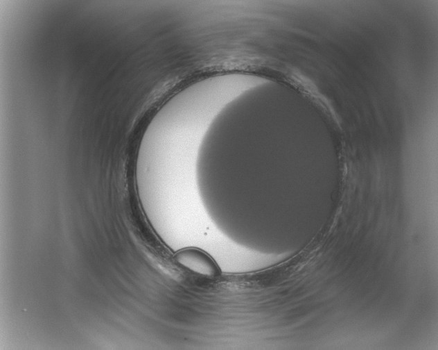 X0000064740250200603031715