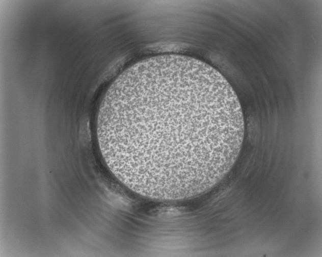 X0000064740254200603031715