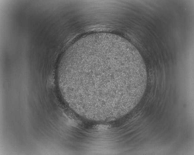 X0000064740255200603031715