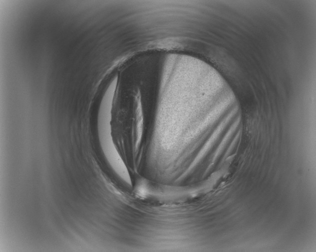 X0000064740256200603031715