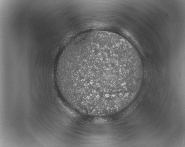 X0000064740257200603031715