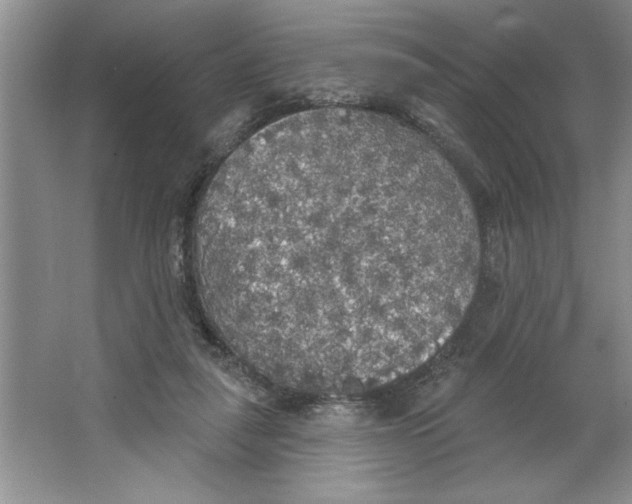 X0000064740259200603031715