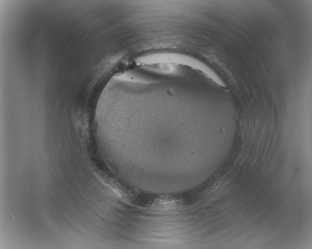 X0000064740260200603031715