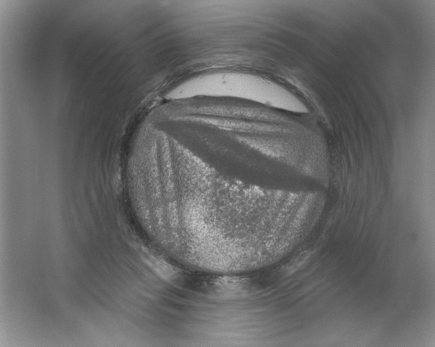 X0000064740261200603031715