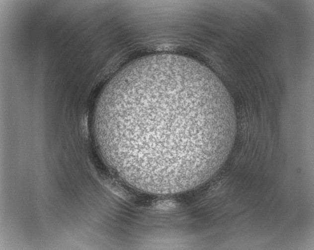 X0000064740262200603031715