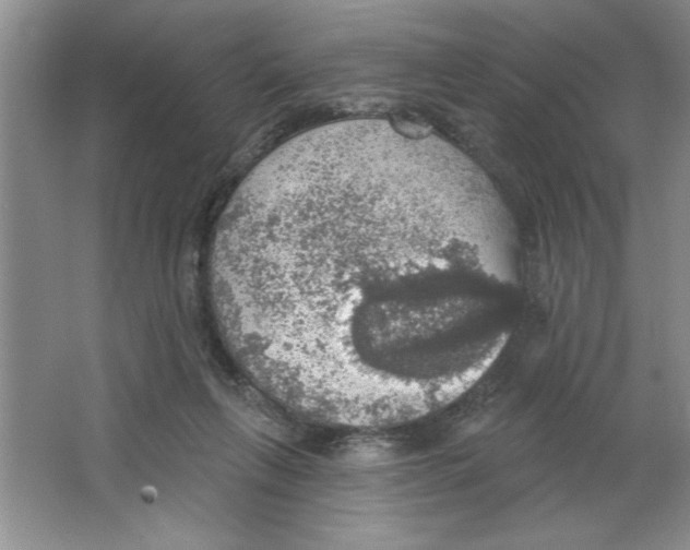 X0000064740263200603031715