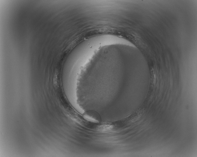 X0000064740266200603031715