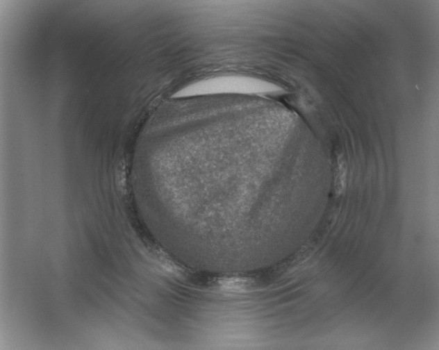 X0000064740268200603031715