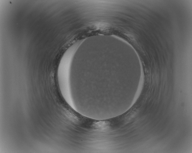 X0000064740269200603031715