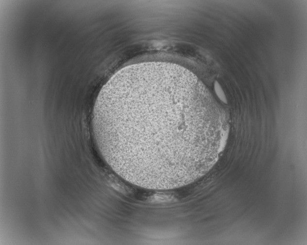 X0000064740270200603031715