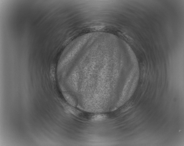 X0000064740274200603031715