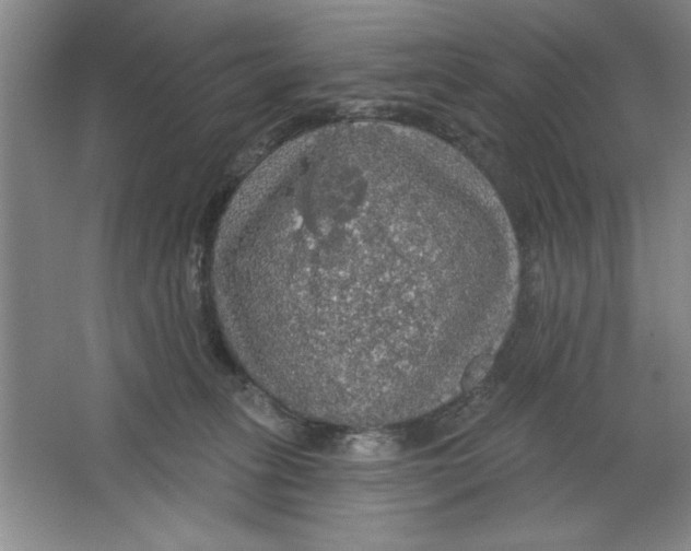 X0000064740275200603031715