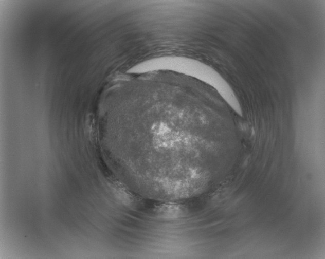 X0000064740276200603031715