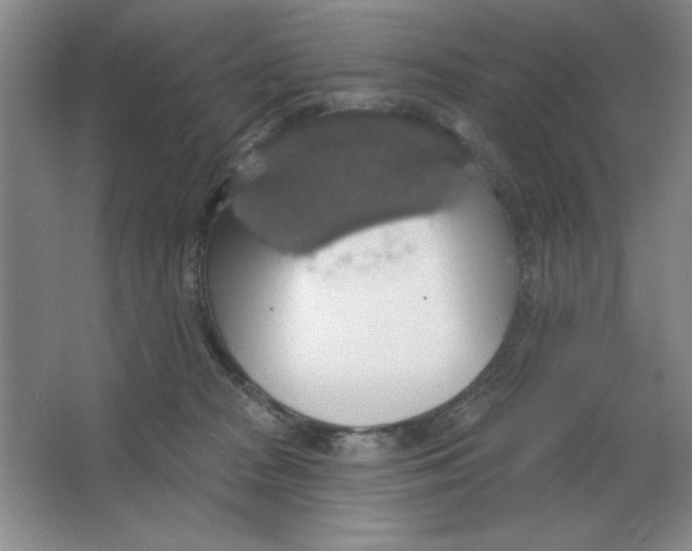 X0000064740277200603031715