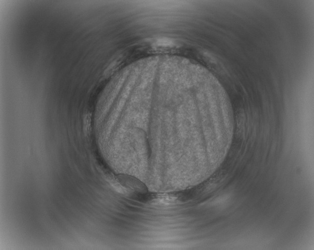 X0000064740278200603031715