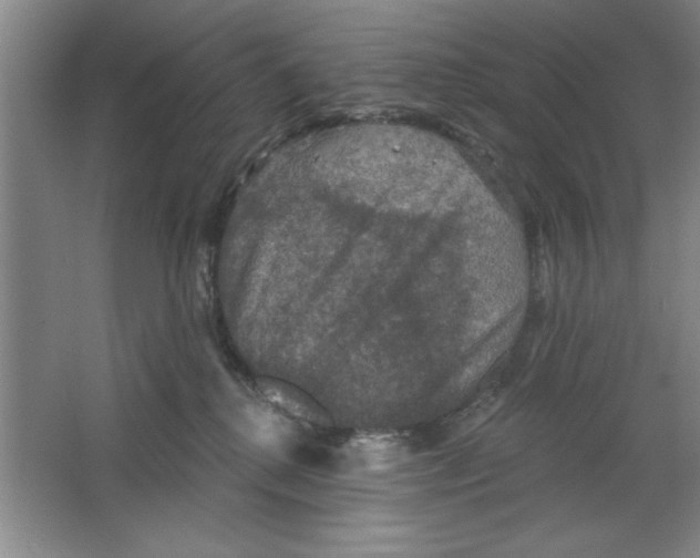 X0000064740280200603031715