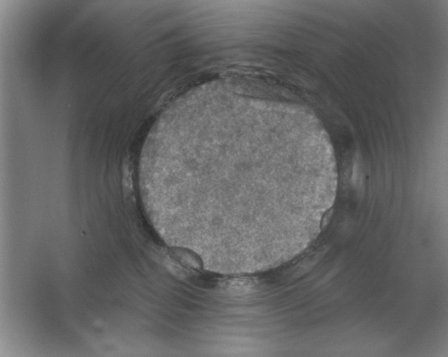 X0000064740282200603031715