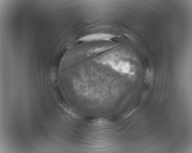 X0000064740284200603031715