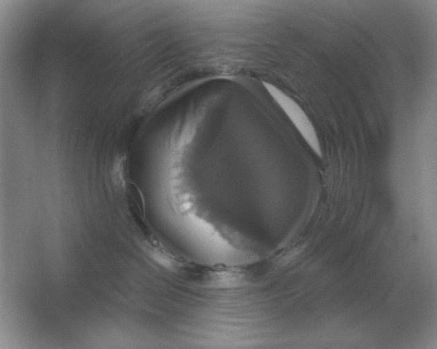 X0000064740286200603031715