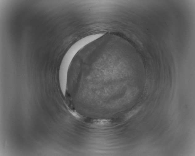 X0000064740288200603031715