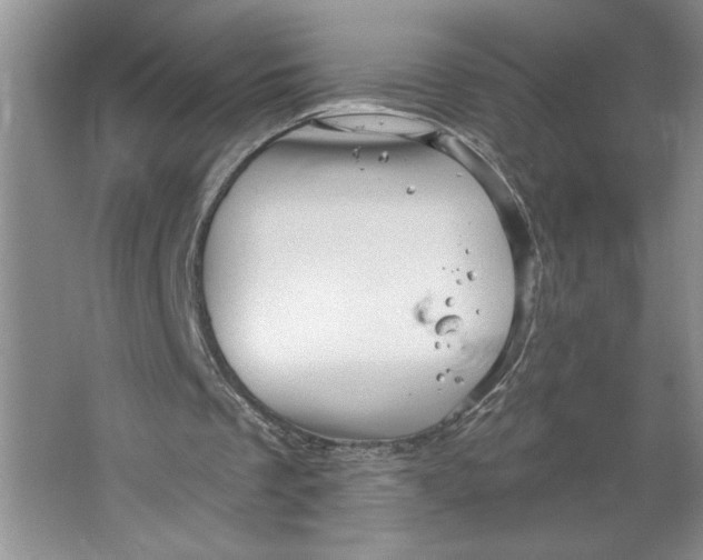 X0000064740289200603031715